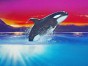 фото роспись стен дельфин