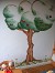 фото роспись стен дерево