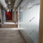 Офисные стеклянные перегородки сделают стильным даже самый непритязательный интерьер
