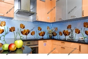  Фото цветных панелей из стекла для кухни (с фотопечатью) 