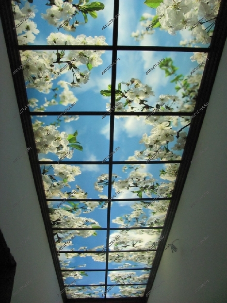Вариант декорирования стеклянных потолков. Нежные цветы на фоне неба органично впишутся в интерьер спальни, детской или офиса