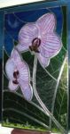 фото витраж с орхидеей