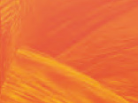 Пленка Flaming Orange SF 130 / RA 66